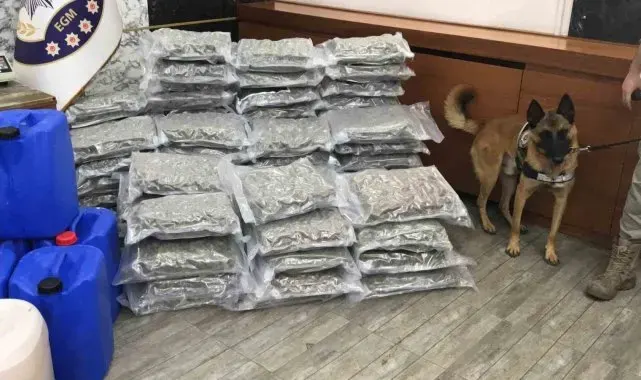 İstanbul'da uyuşturucu operasyonları: 8 gözaltı