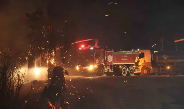 Adana'da ormanlık alanda yangın