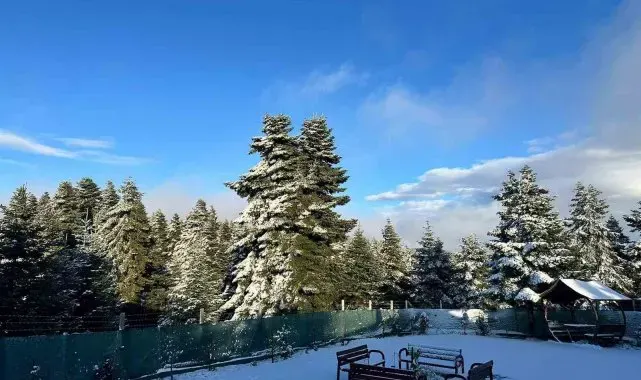 Bolu'dan kar manzaraları