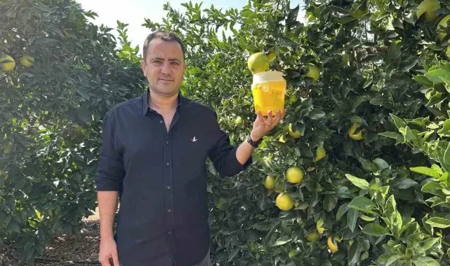 Türkiye'nin narenciye üretim merkezinde Akdeniz meyve sineğiyle mücadele sürüyor