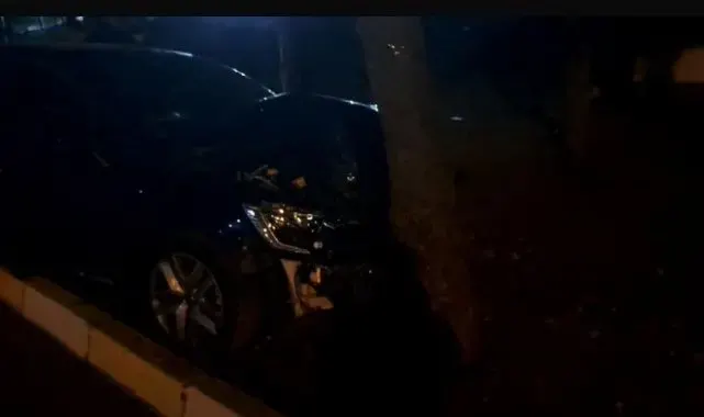 Diyarbakır'da kaldırıma çıkan otomobil, ağaca çarparak durdu: 3 yaralı