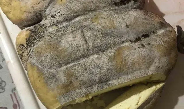 Erzurum Karın Kaymağı Peyniri coğrafi işaret yolunda