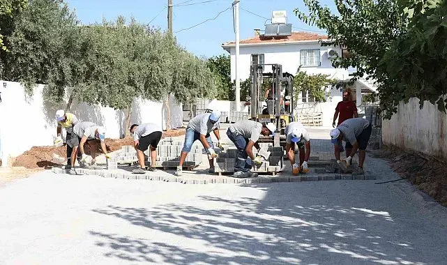 Didim Belediyesi'nden Denizköy'de kapsamlı çalışma