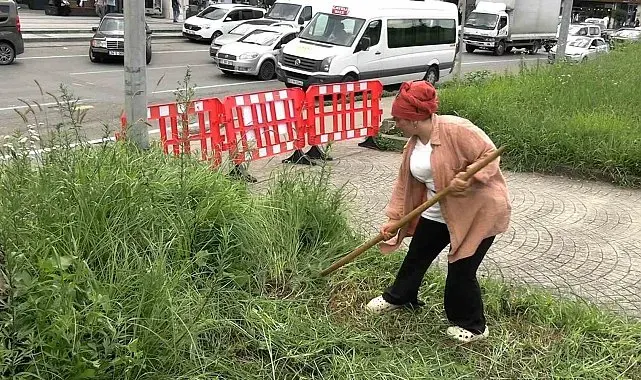 Şehir merkezinde tırpanla geçim mücadelesi