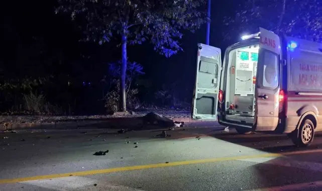 Menteşe'de trafik kazası: 1 ölü