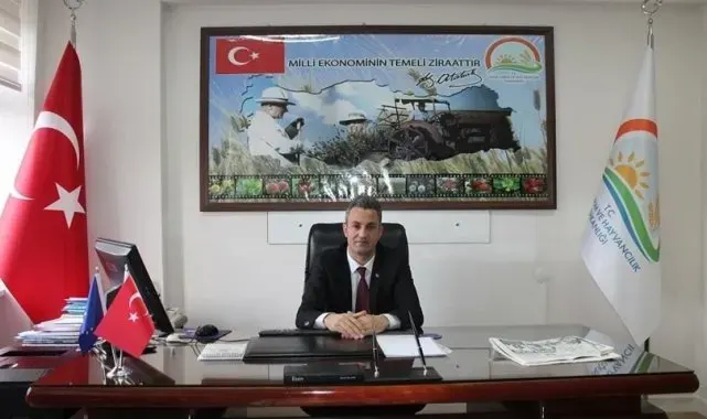 Bilecik'te çiftçilerin kahverengi kokarca paniği