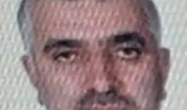 Ordu'da kestiği ağacın altında kalan vatandaş hayatını kaybetti