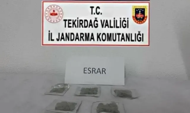 Tekirdağ'da uyuşturucu ve silah operasyonları: Çok sayıda suç unsuru ele geçirildi