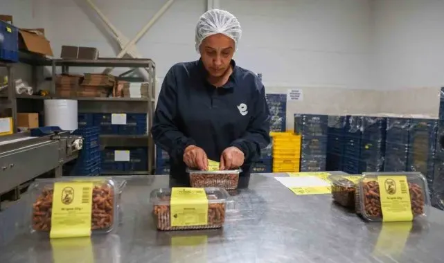 Efeler Belediyesi'nin Kadın Emeği Tarımsal Ürün Fabrikası markalaştı