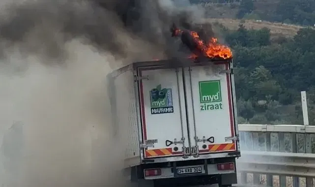 Bursa'da seyir halindeki kamyonet alevlere teslim oldu