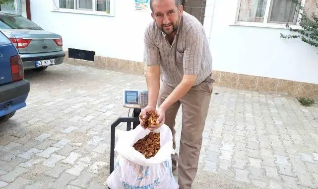 Hisarcık elma kurusunun fiyatı 35 TL'ye yükseldi