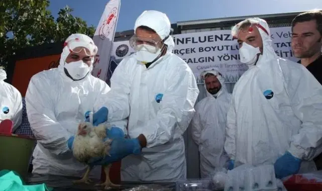 Çanakkale'de kuş gribi tatbikatı