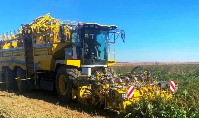 Kulu'da pancar hasadı başladı