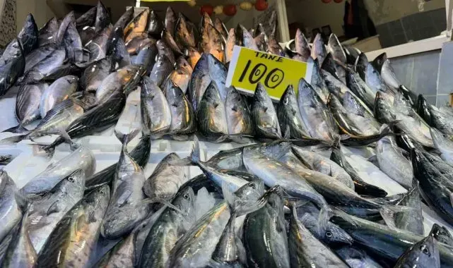 Rize'de hamsi tezgaha 200 TL'den girdi, palamudun saltanatı devam etti
