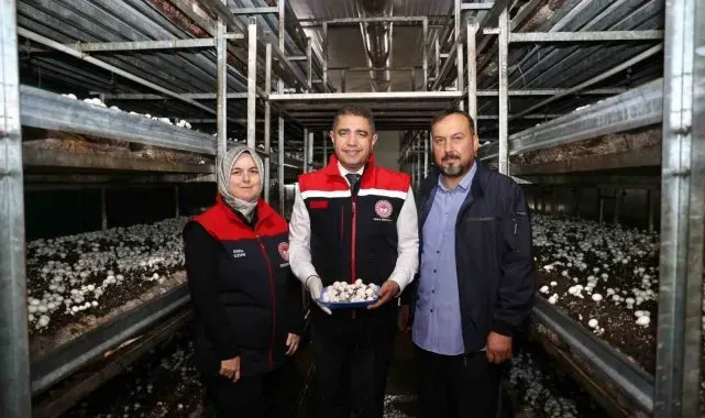 İyi tarım uygulama alanında inceleme