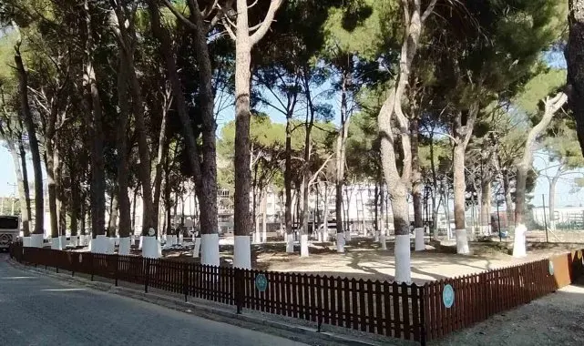 Büyükşehir tescilli tarihi Muradiye Mezarlığı'na sahip çıktı