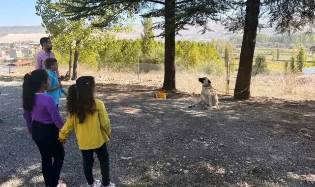 Hisarcık'ta özel öğrencilere hayvanlar tanıtıldı