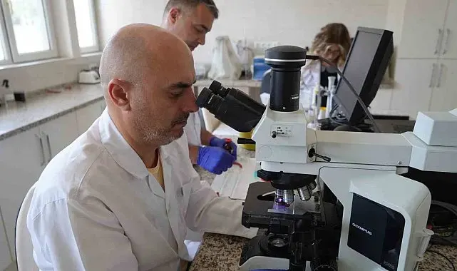 Samsun Veteriner Kontrol Enstitüsü 9 ilde hayvan hastalıklarına karşı alarmda: Yılda 50 bin analiz