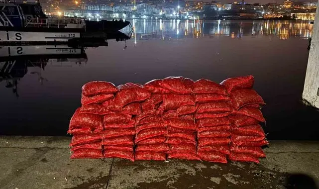 Beyoğlu'nda 75 çuval kaçak midye ele geçirildi