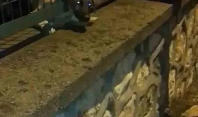 Demir korkuluklara sıkışan yavru köpek böyle kurtarıldı