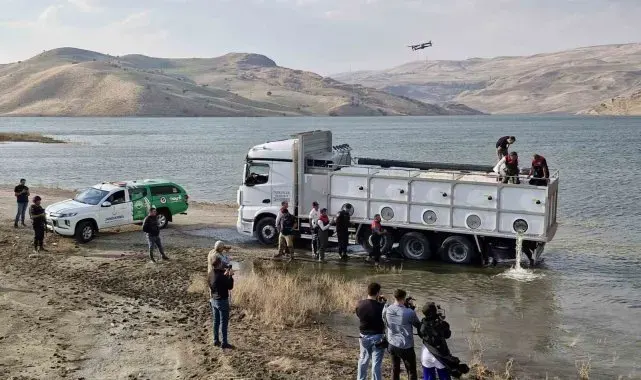 Muş'ta göl ve baraj göletlerine 4 milyon yavru sazan bırakıldı
