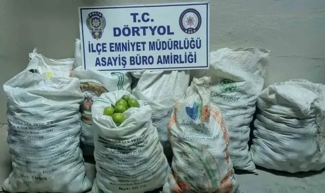 Narenciye bahçesinden 350 kilo mandalina çalan 2 şahıs tutuklandı