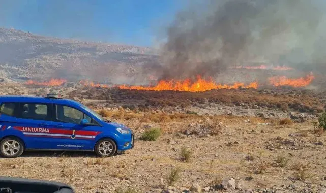 Bodrum'da otluk alanda yangın