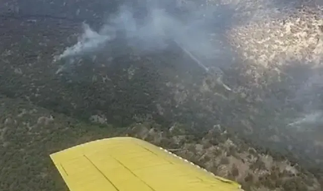 Manisa'daki orman yangınına müdahale devam ediyor