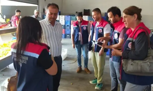 Aydın'da incir üreticilerine aflatoksin ve okratoksin uyarısı