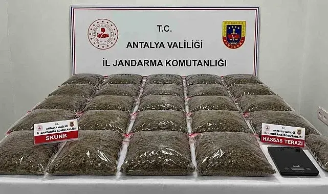 Uyuşturucu operasyonunda 13 şüpheli yakalandı