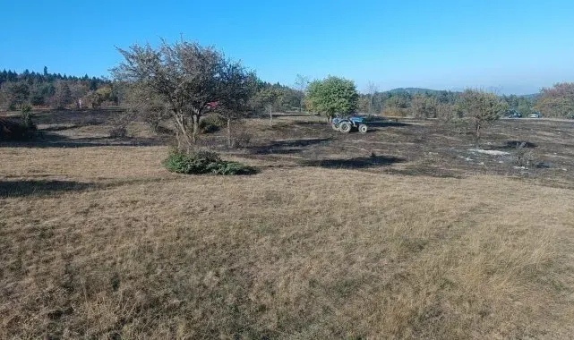 Abant Gölü Milli Parkı'nda yangın: Ormana sıçramadan söndürüldü