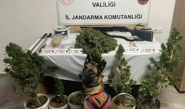Jandarmadan uyuşturucu operasyonu:6 gözaltı