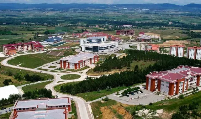 Kastamonu Üniversitesi'nin geliştirdiği antibakteriyel ahşap üretim yöntemi patent aldı