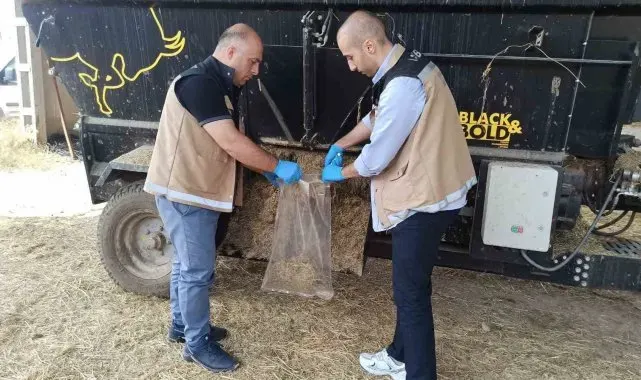Bayburt'ta yemlerden incelenmek üzere numuneler alındı