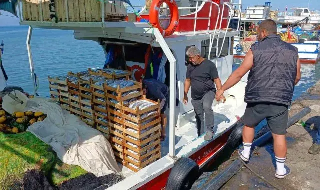 Batı Karadeniz'de avlanan 50 tekneden 10'u balıkla dönüyor