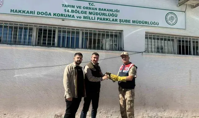 Jandarmadan doğan yavrusuna şefkat eli