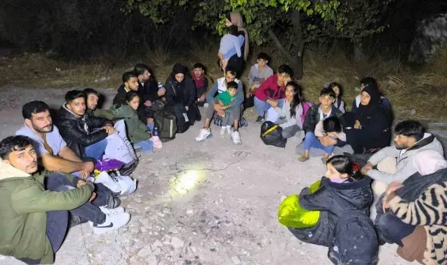 Makilik alana saklanan düzensiz göçmenler yakalandı