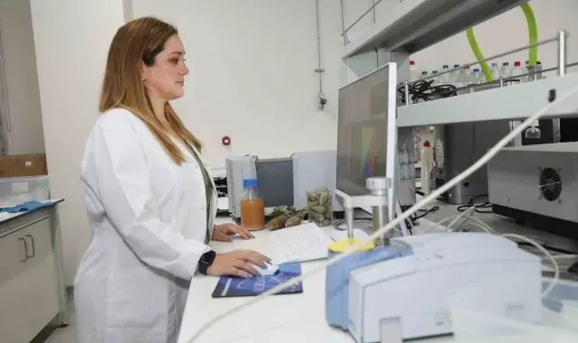 BTÜ'lü akademisyenler kozalak şuruplarının içeriğini araştıracak