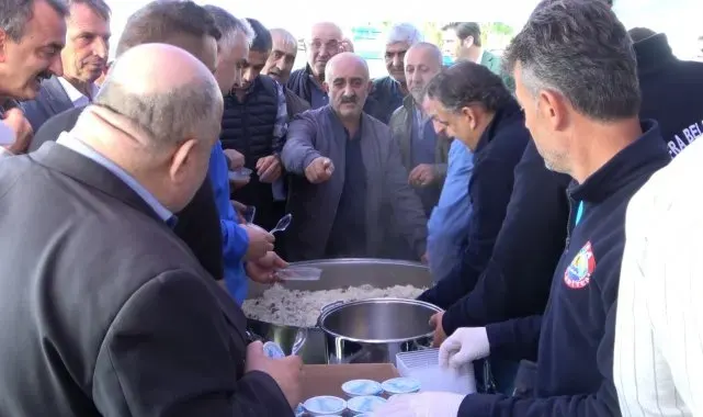 Bafra Ovası'nda Çeltik Hasat Şenliği: 165 bin ton rekolte beklentisi