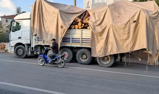 Tonlarca kütük yola devrildi, öğretmen bir adımla ölümden kurtuldu