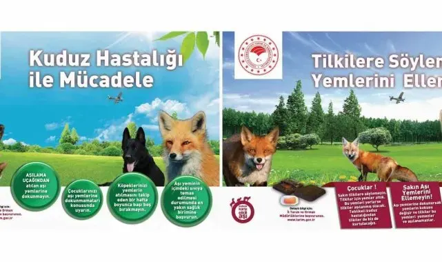 Kuduza karşı yaban hayvanlarını havadan aşılama çalışmaları devam ediyor