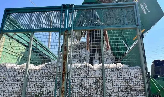 Başkan Zencirci pamuk hasadı yapan üreticilerle buluştu