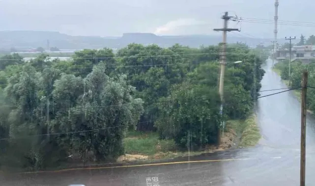 Mersin'de sağanak etkili oldu, yıldırımın isabet ettiği ağaç yandı