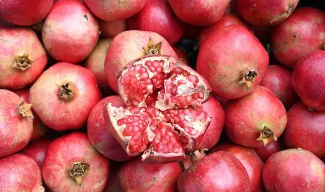 Denizli'de nar hasadı başladı