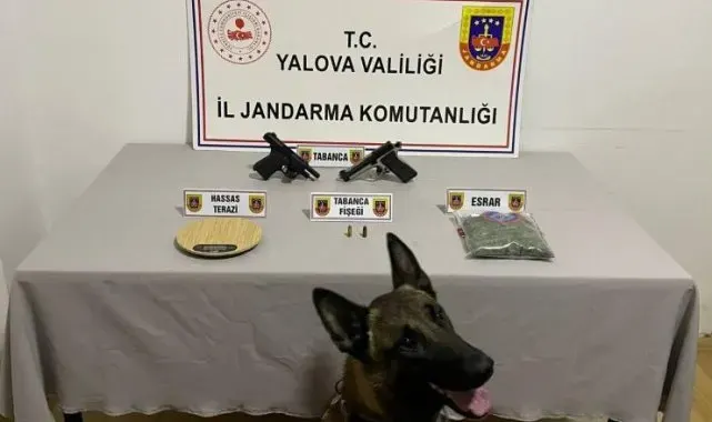 Yalova'da uyuşturucu operasyonu: 1 gözaltı