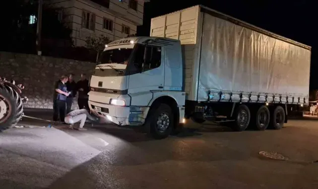 Kamyonun çarptığı 350 kiloluk domuz telef oldu