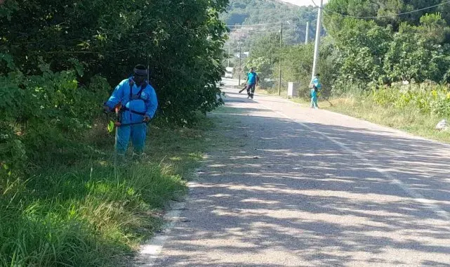 Başiskele'nin yeşil alanlarında sonbahar temizliği