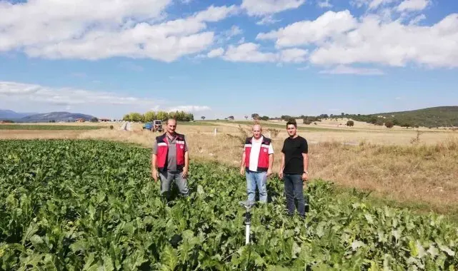 Kütahya'da şekerpancarı ekim sahalarında denetim ve tespit