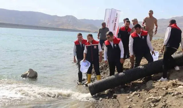 Şırnak'ta göl, nehir ve barajlara 1 milyon 650 bin sazan yavrusu bırakıldı