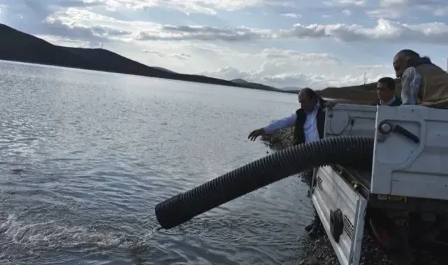 Bayburt'ta baraj ve göletlere 574 bin yavru balık bırakıldı